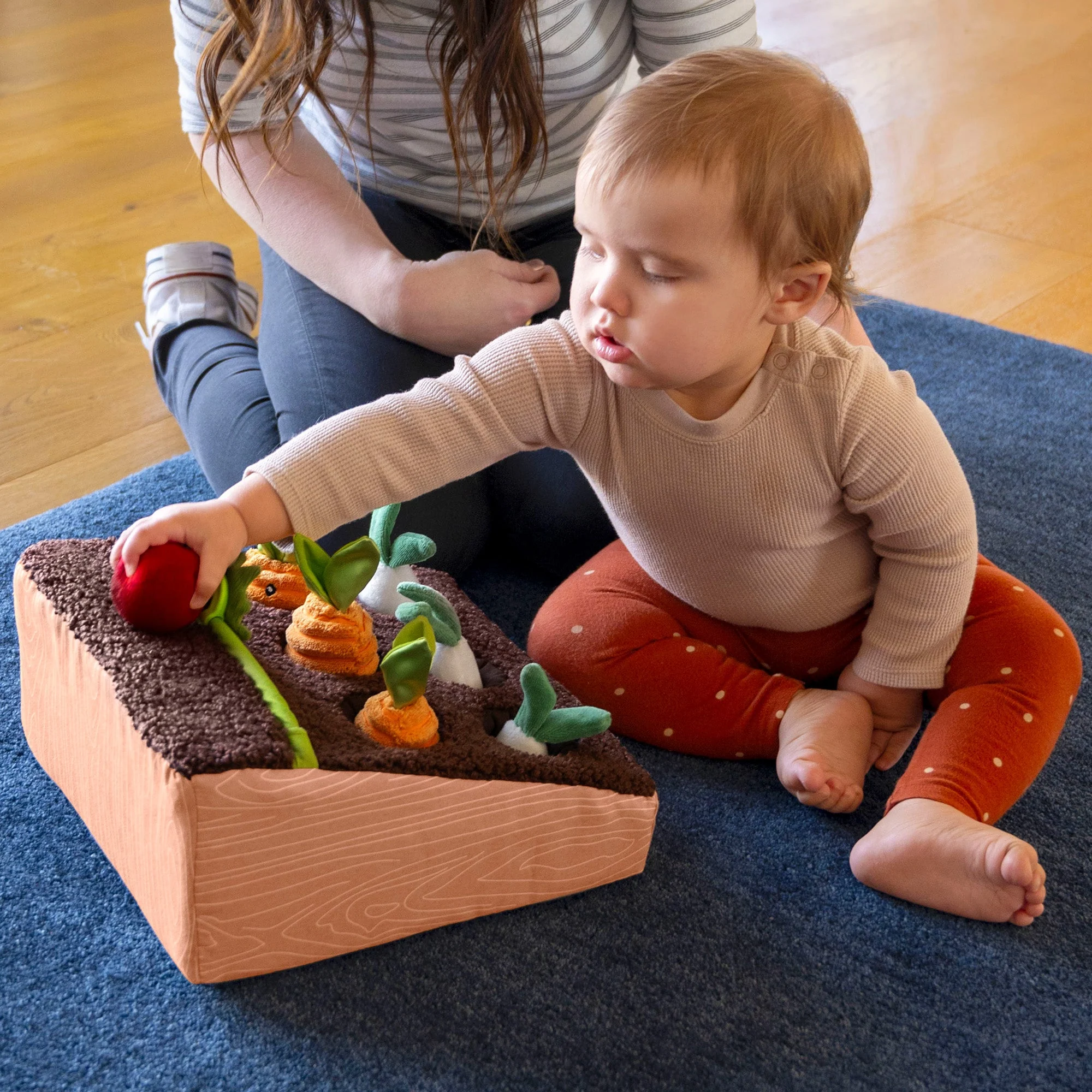 Learn and Grow Garden - Image 4